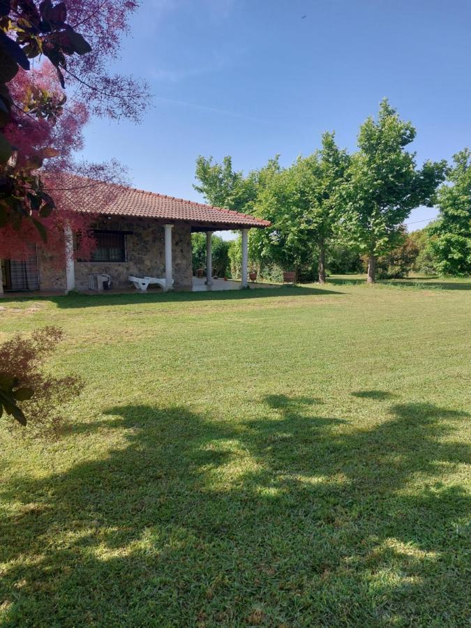 Los 11 Postes Candeleda Exterior photo